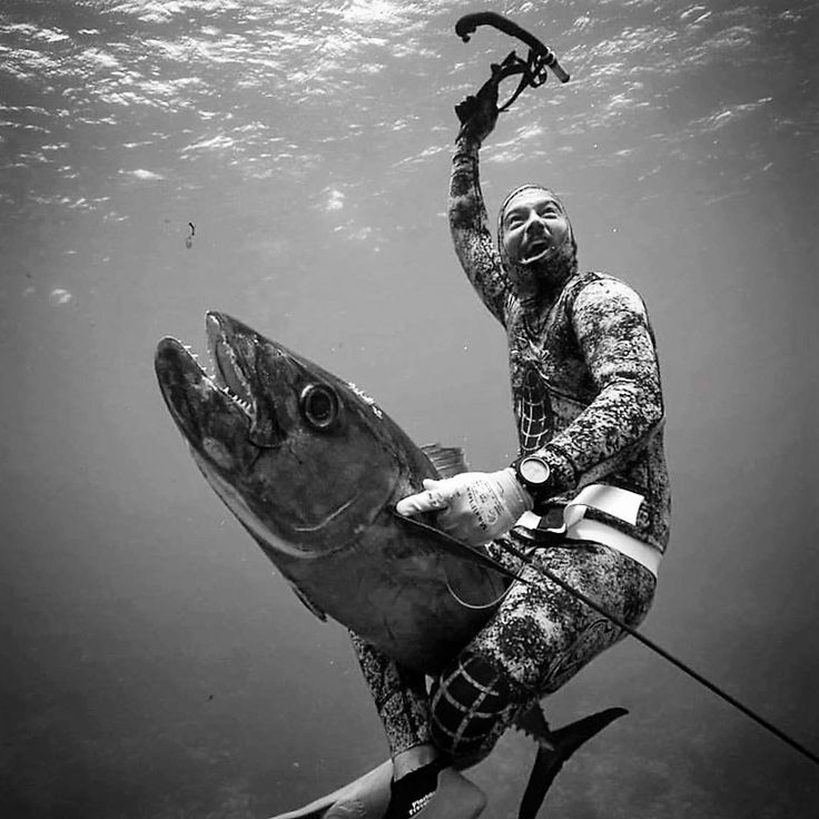 Подводная охота на сазана